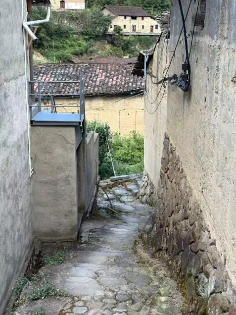 图4 村内道路