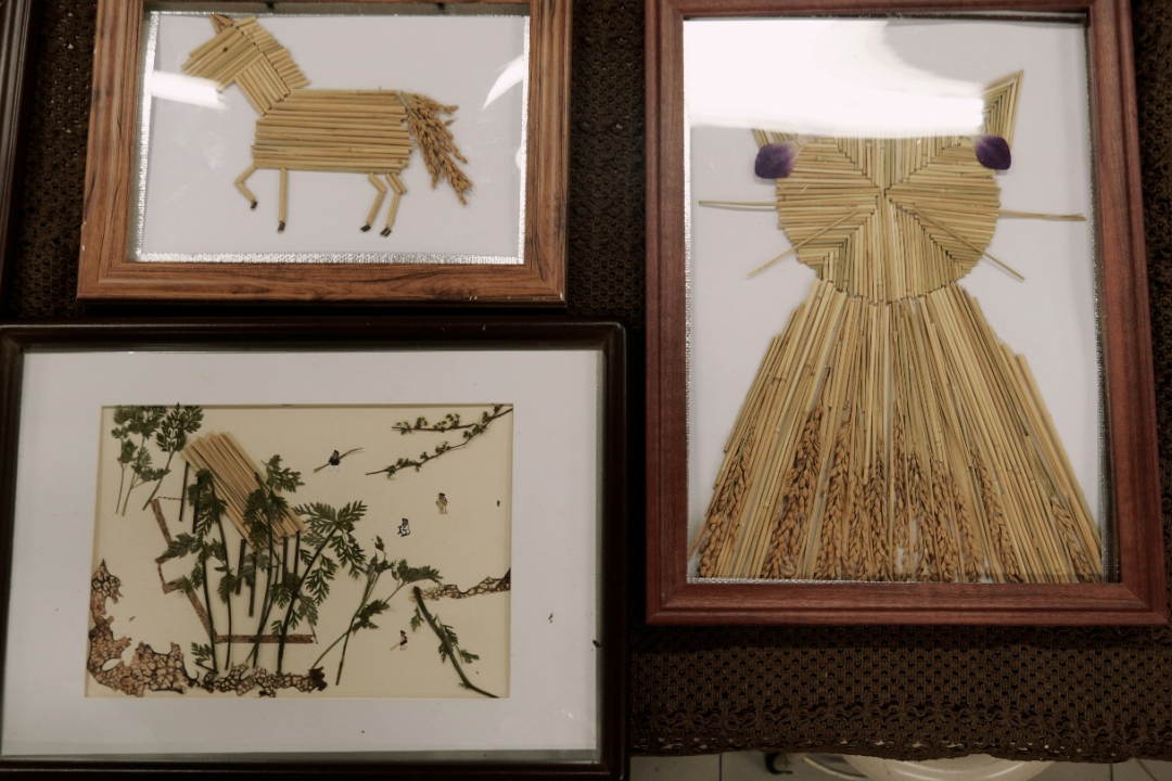 图 6乡土压花作品