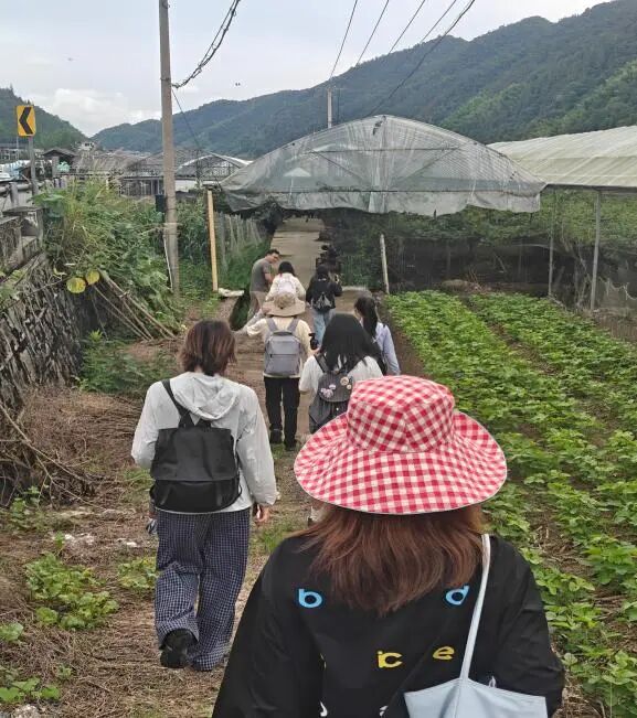 图为实践成员调研原采摘基地