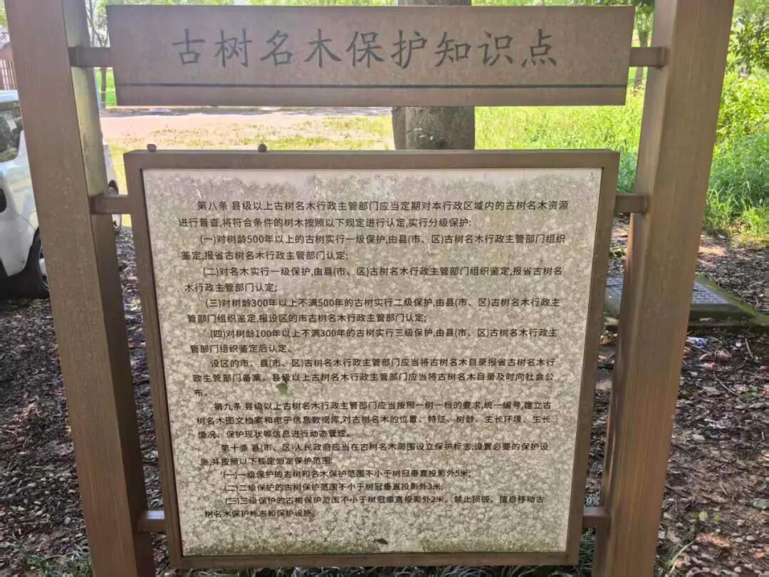 古树保护知识点
