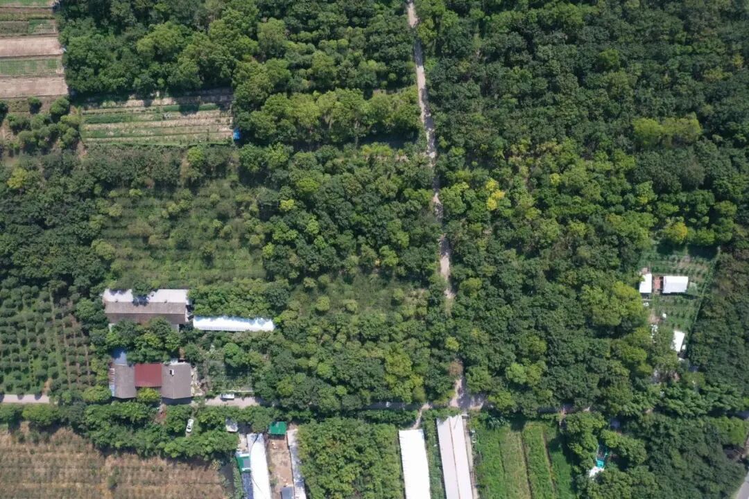 村庄林地资源