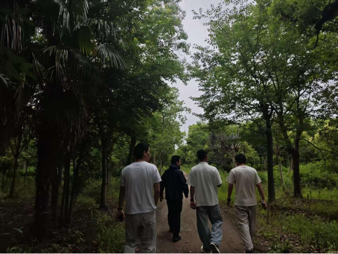 图为走访村内林地