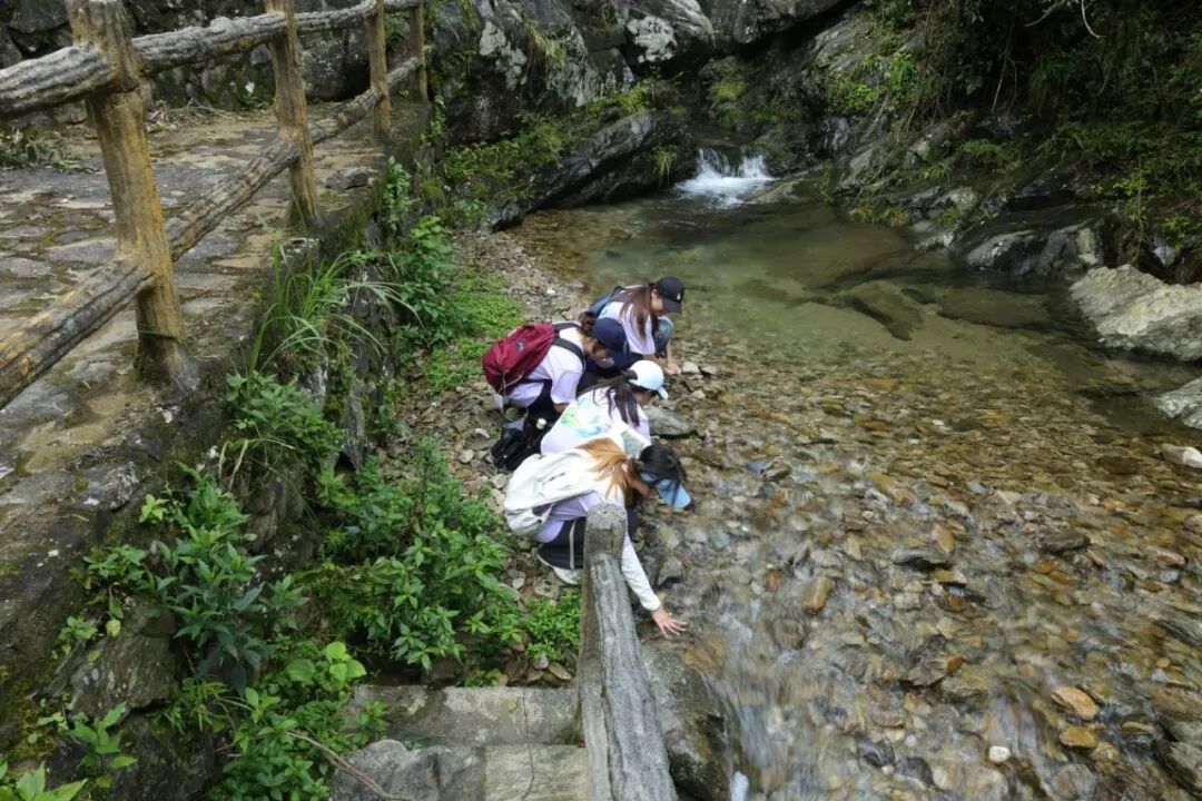 图为团队成员在桃花坞研学基地实地考察