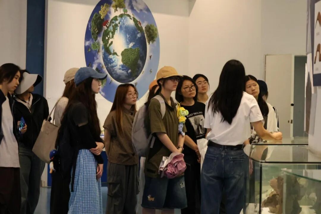 实践团在博物馆展厅内考察化石陈列设施