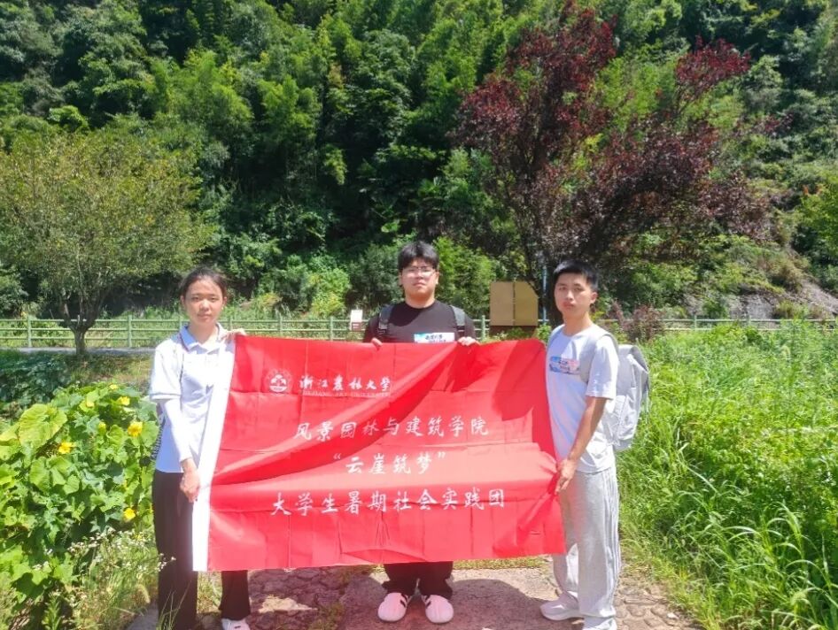 图为实践团成员在松阳开展实地调研