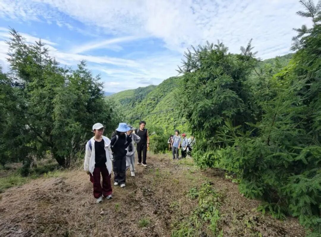 图为成员北坡实地调研