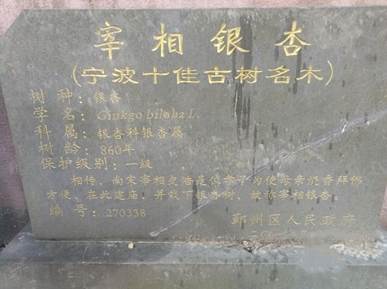 微信图片_20250729145731_8