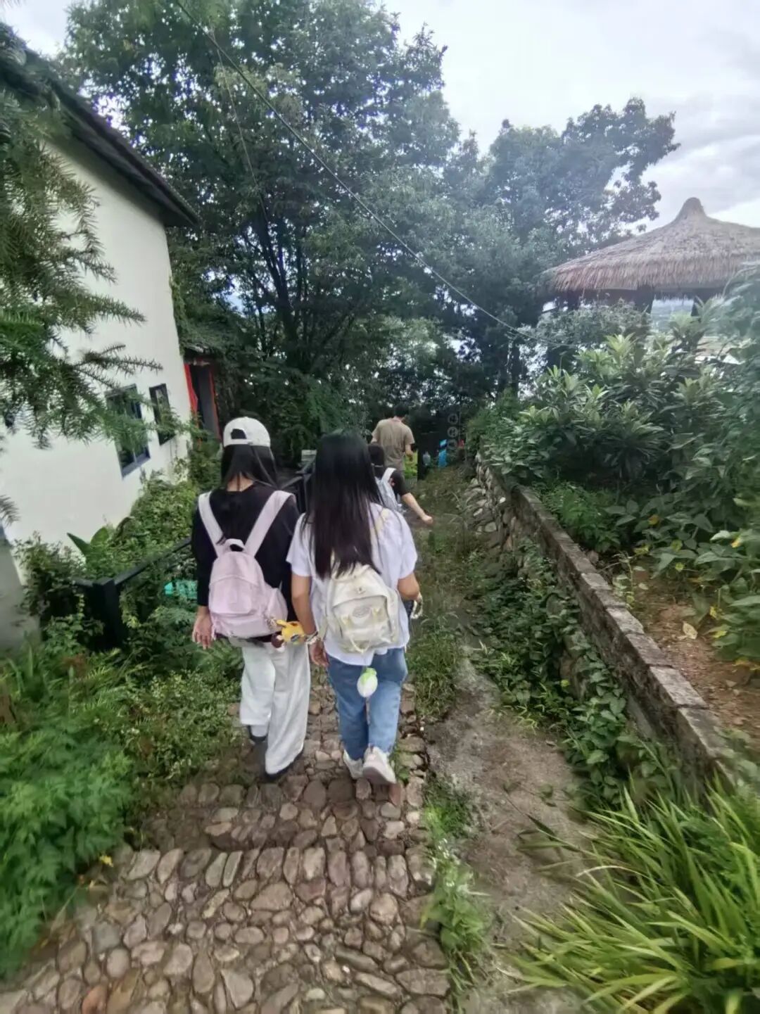 图为指导老师带领实践团同学实地走访珠村畈