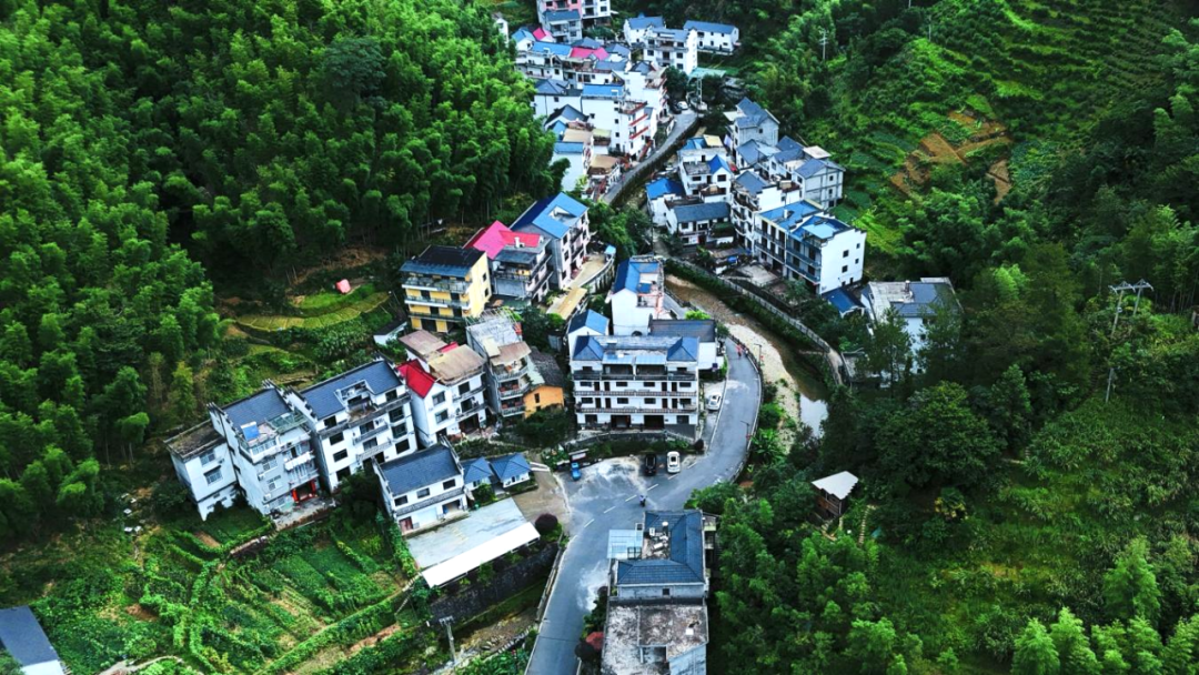 图为大麦坞村航拍图