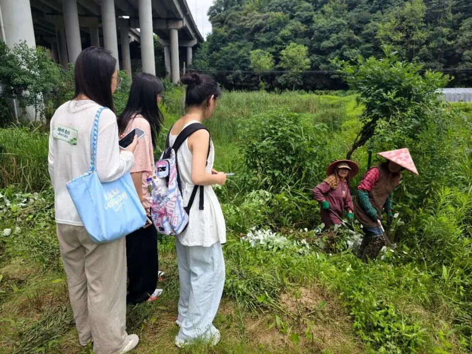 图为团队成员走访照片