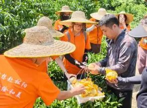 团队在大东坝镇、馒头山村座谈、三都乡助农