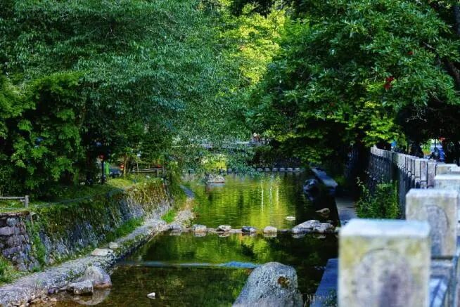 百山祖入口社区自然风光