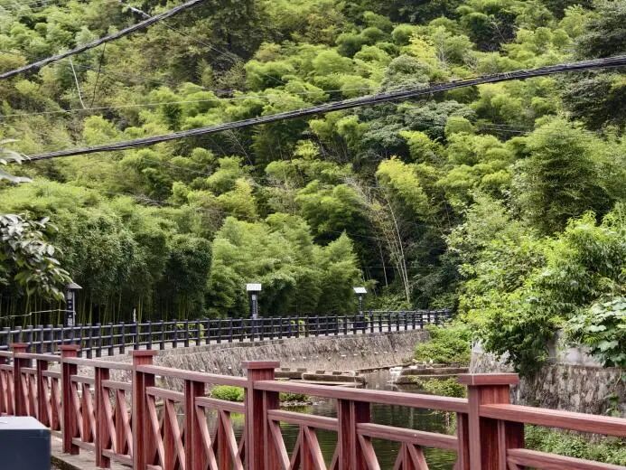 图为村内太阳能路灯