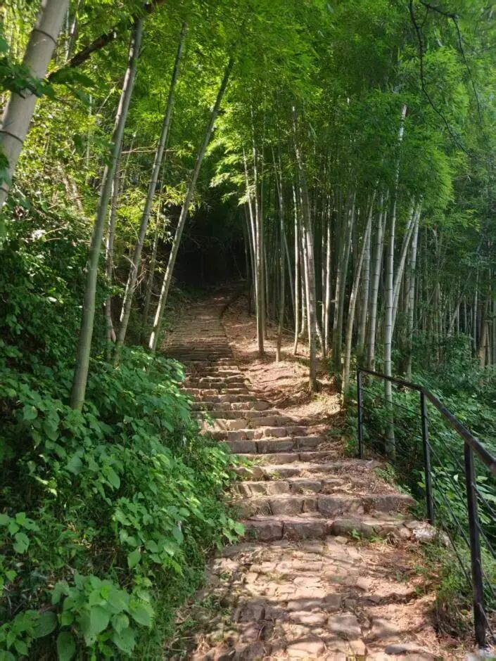 图为后山景区部分路段