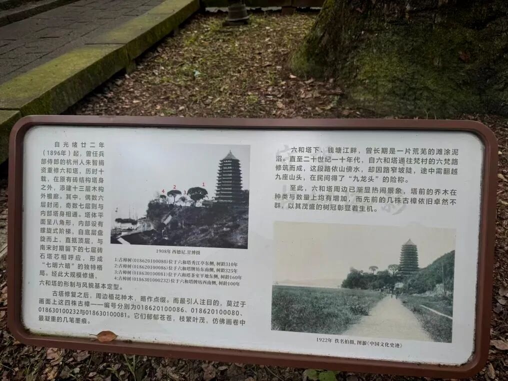 六和塔文化公园