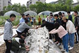 说明:C:\Users\PN\Desktop\19年春耕\DSC_3319wps图片.JPG