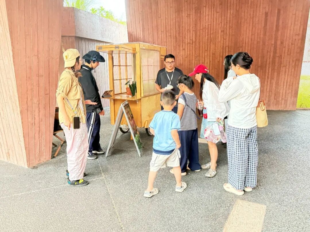 图为实践团成员向公众介绍夜观活动详情