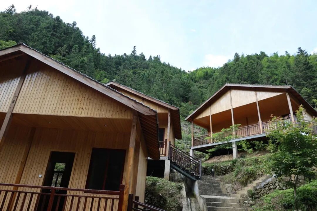 图为桃花坞已建成木屋