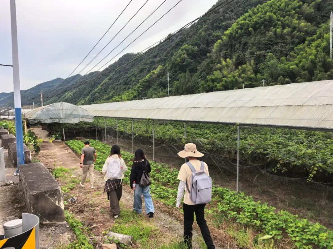 图为实践团队成员走访村内特色农业种植基地