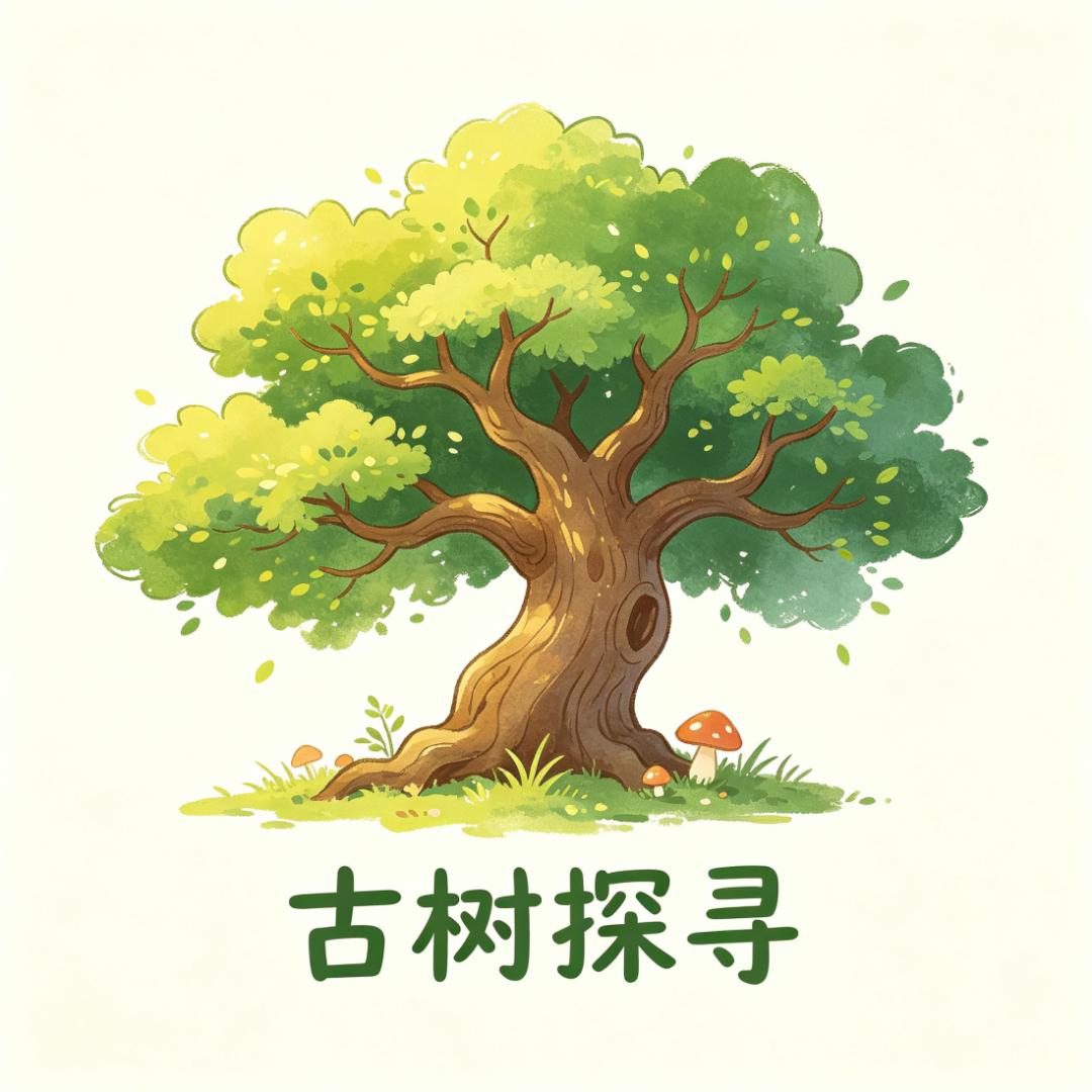 图为实践团标识