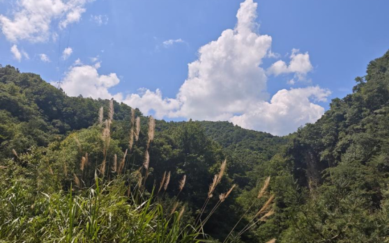 图为方山南坡现状