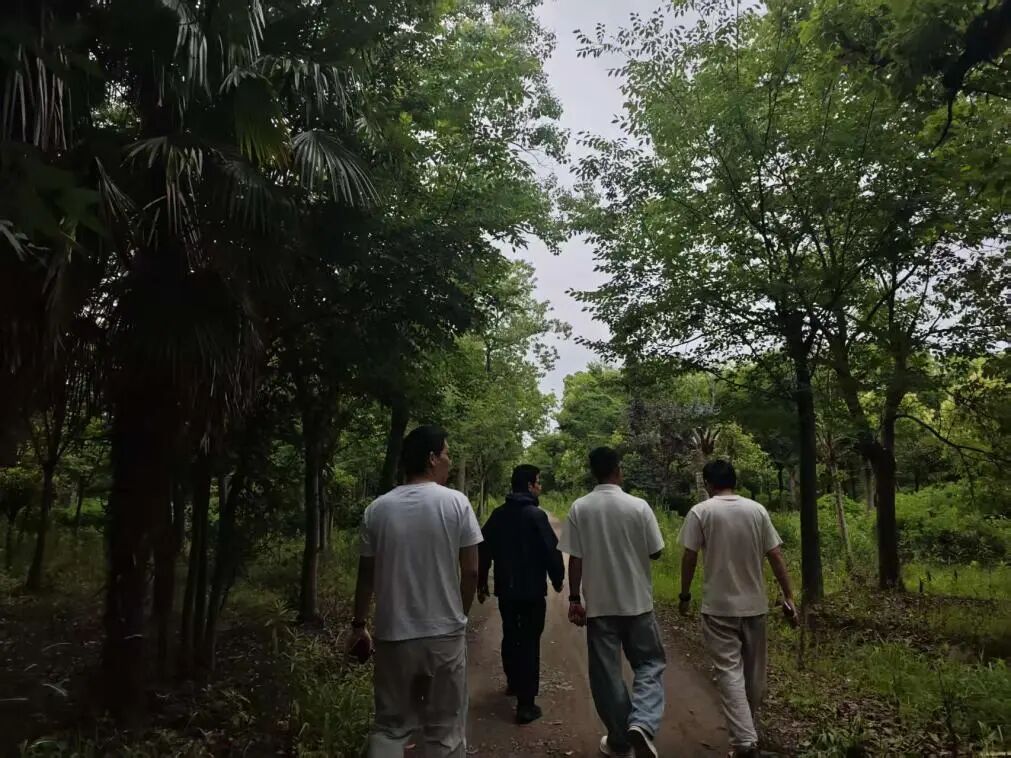 走访村内林地（虞茜乔 摄）