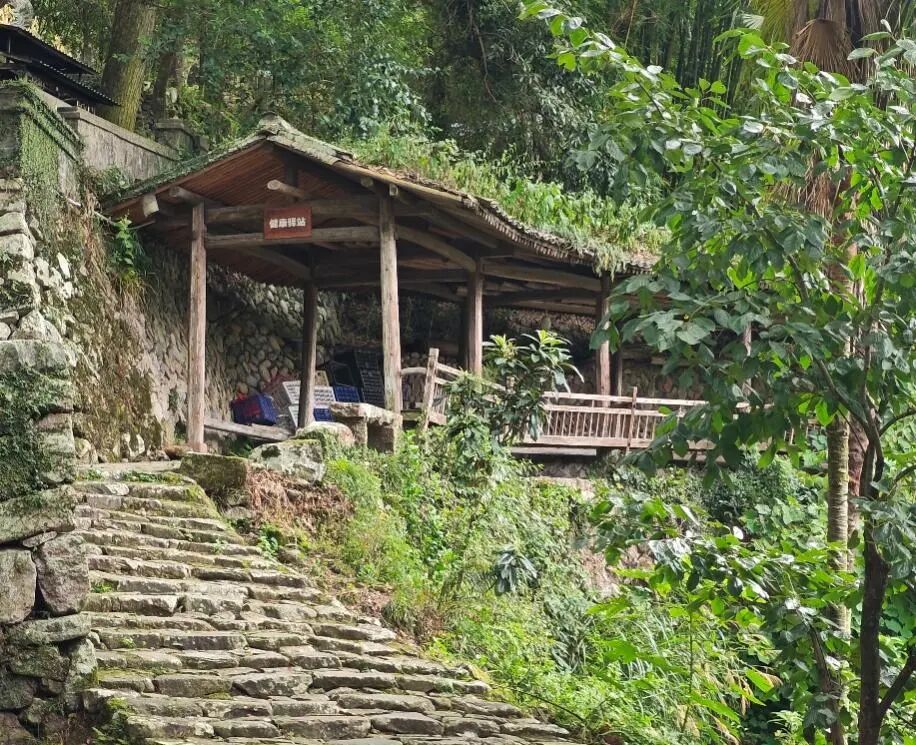 图为埭头古村原生态步道