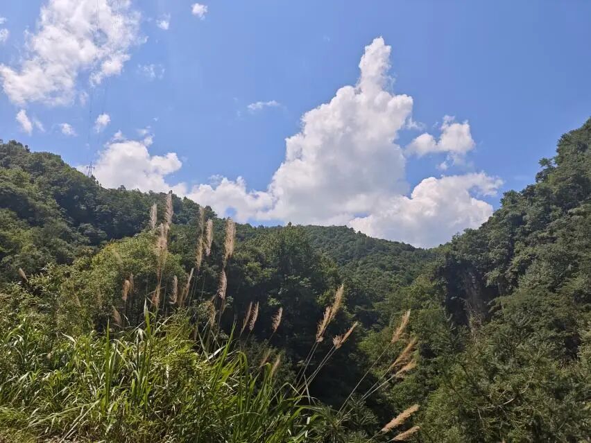 图为方山南坡现状
