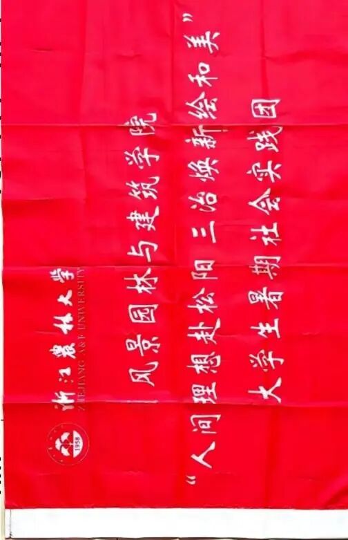 图 3 队旗