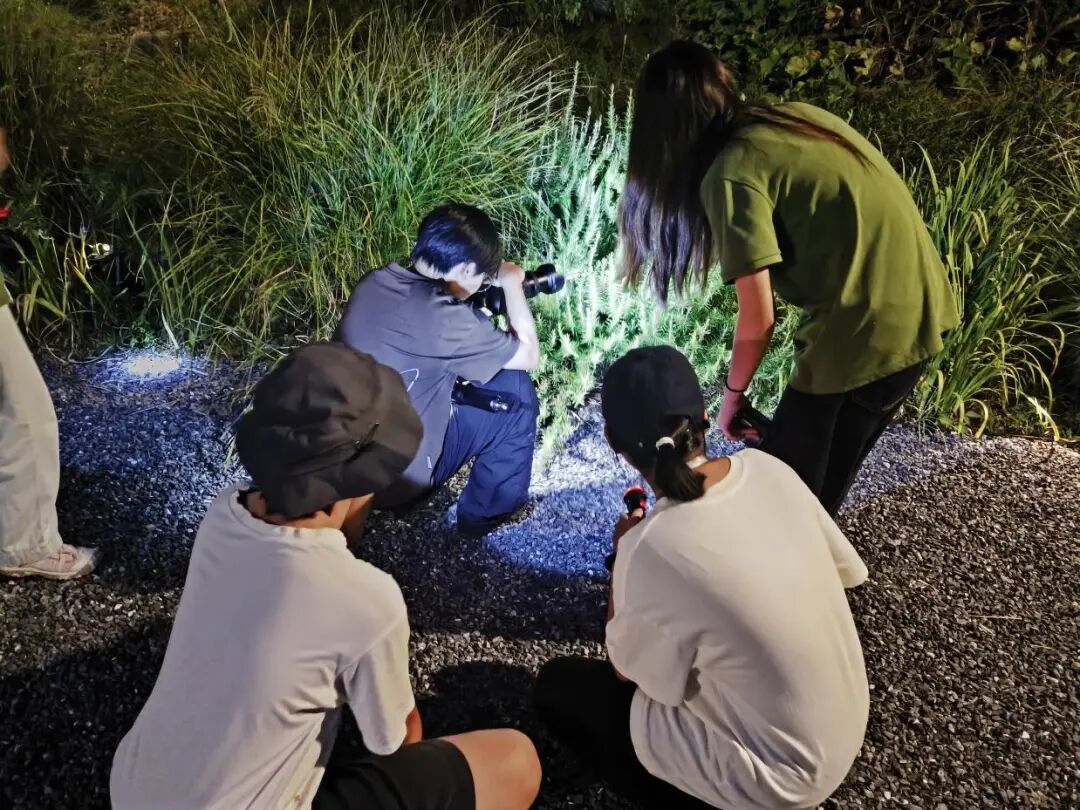 图为同学们夜观时参与昆虫寻找