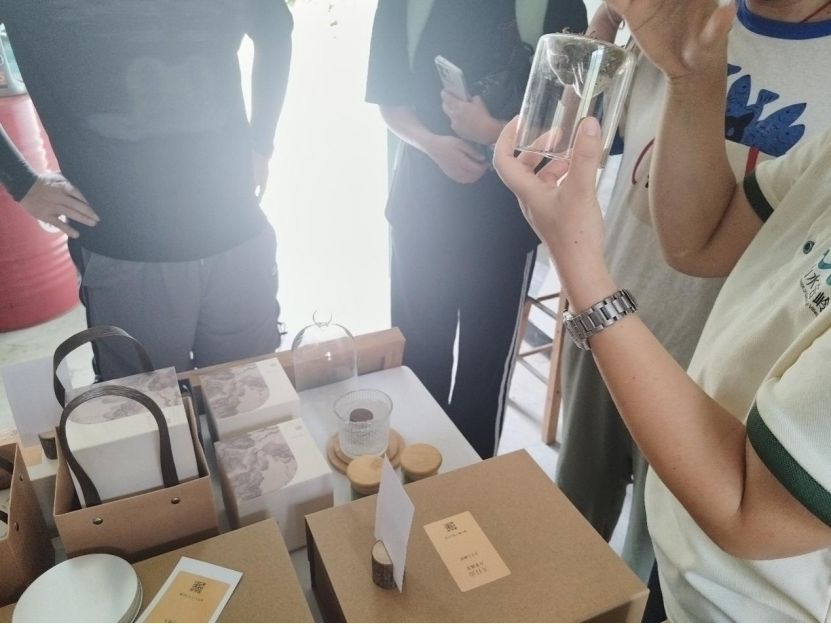 图为团队成员在观察微型植物生态瓶