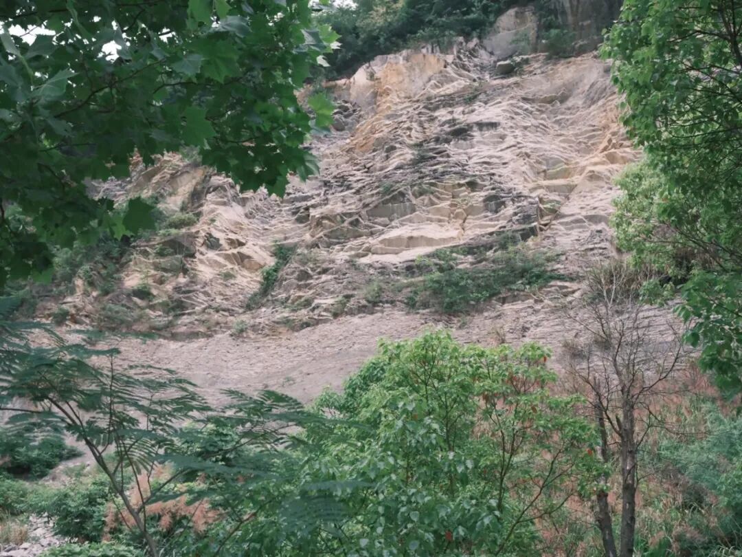 保护区内典型的地质沉积岩剖面实景