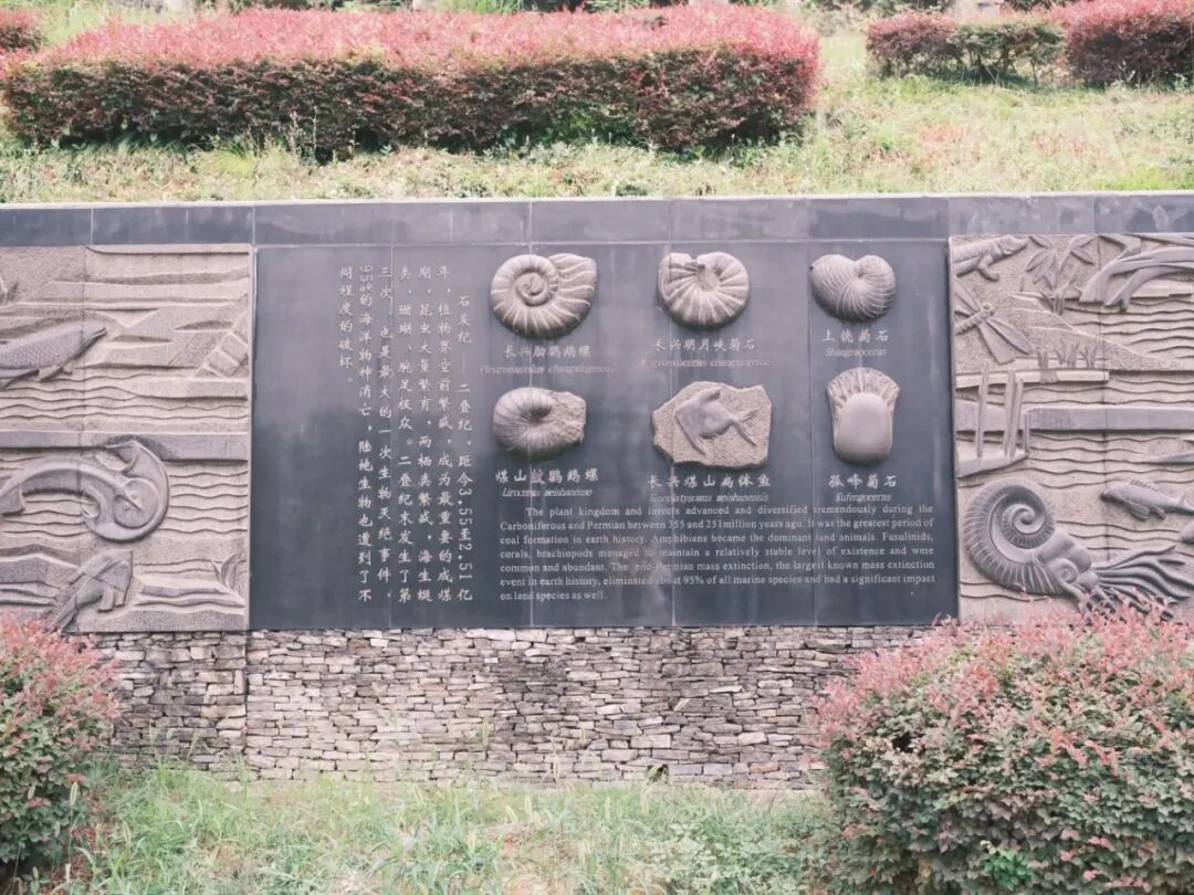 实践团成员考察景区化石浮雕与科普展板