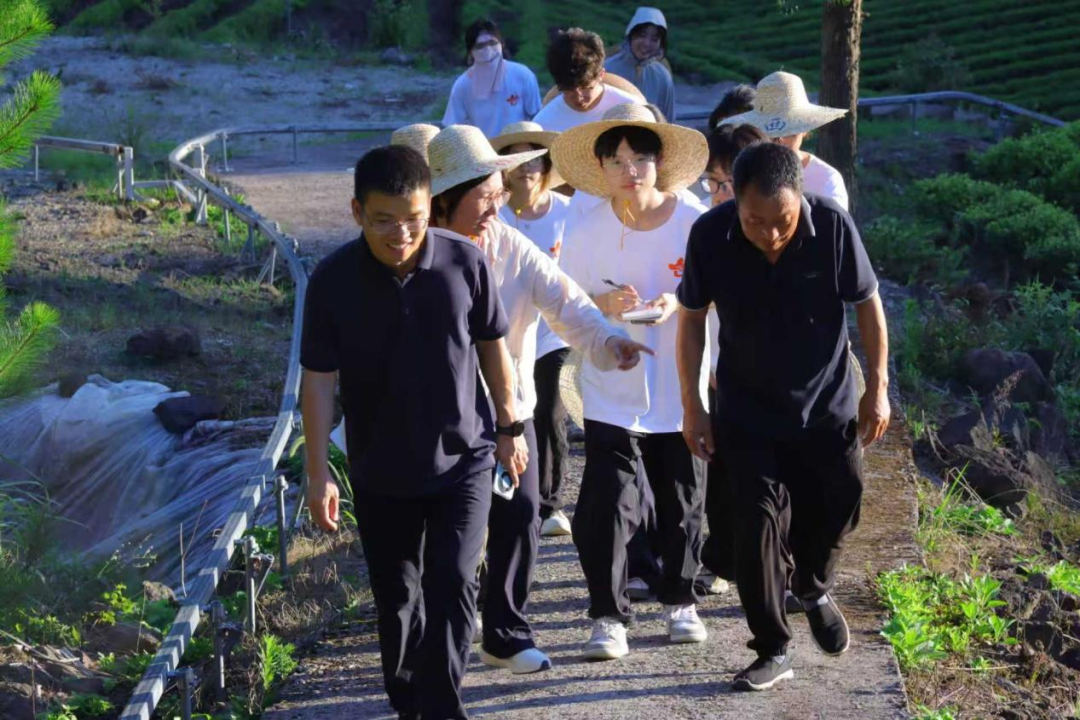 图3实践团在茶山实地调研