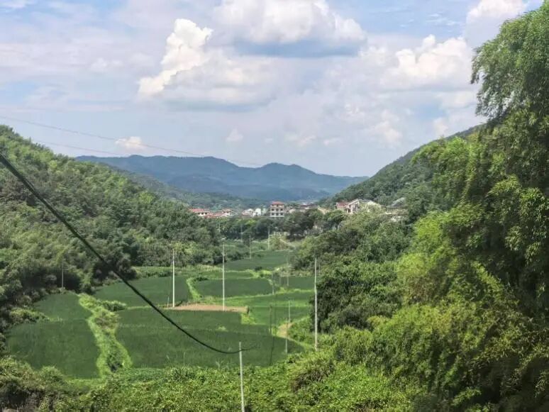 图为红峰村田园风貌