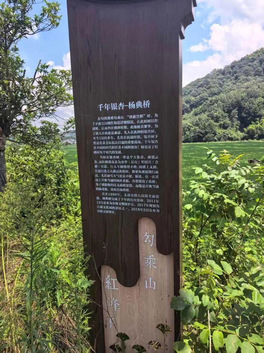 古树历史传说介绍