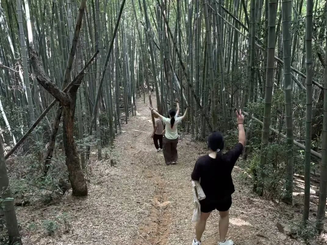 图为团队成员爬山过程记录实拍