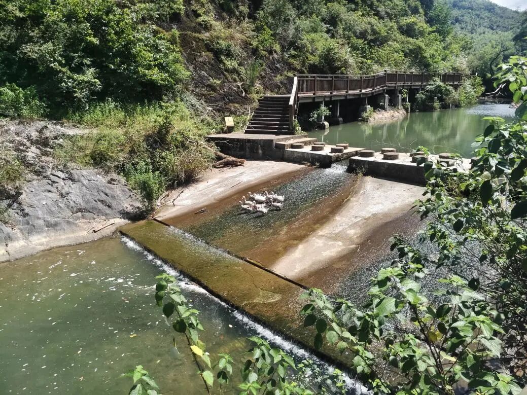 图为陈家铺村周边保留的溪流、水坝与山地生态景观