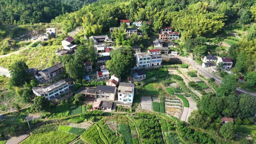 图为琼台村全貌