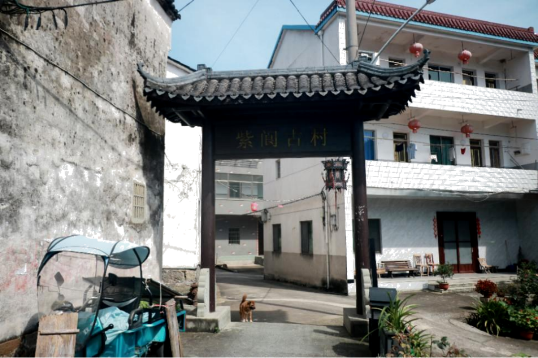 图3 紫阆村台门