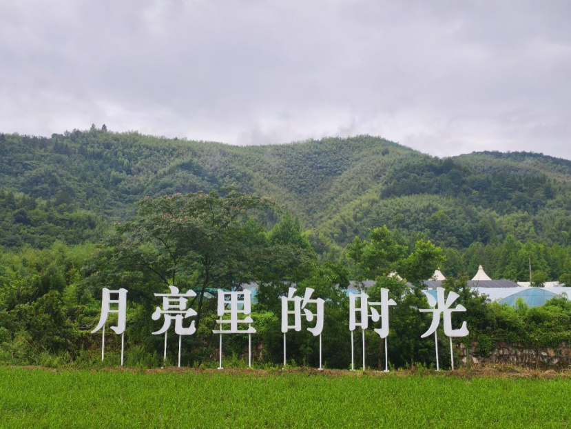 图为月亮桥村景观