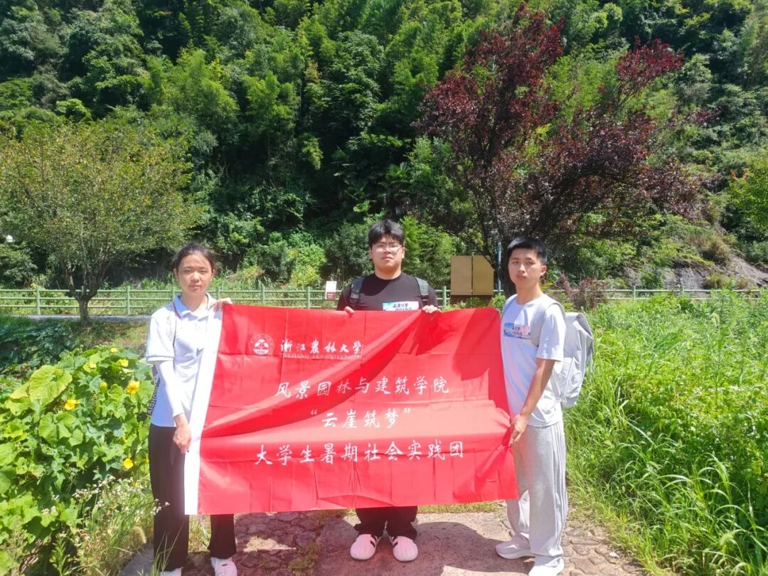 图为实践团成员在松阳开展实地调研