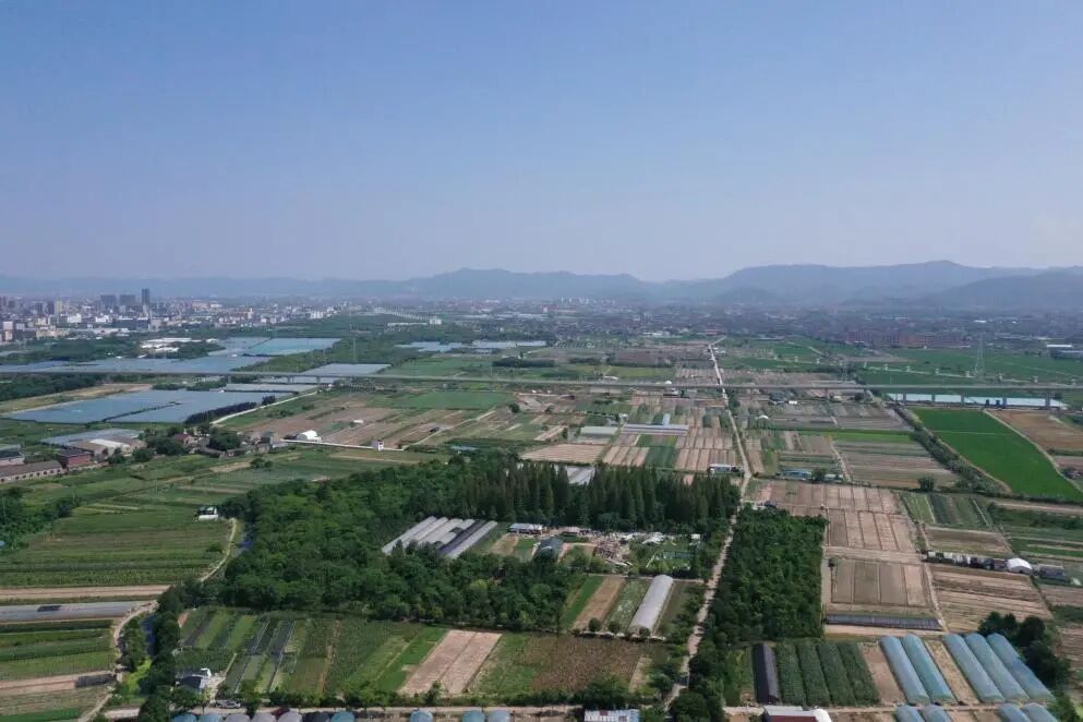 村庄田地分布俯拍图