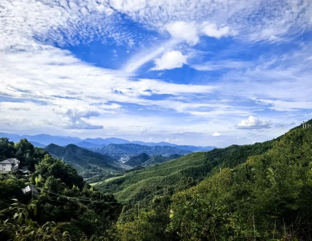 图为方山北坡现状