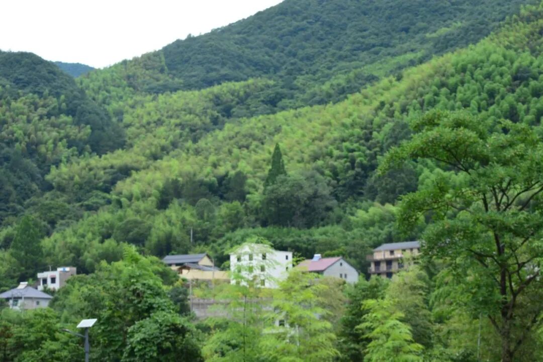 汤家山观景平台周围环境
