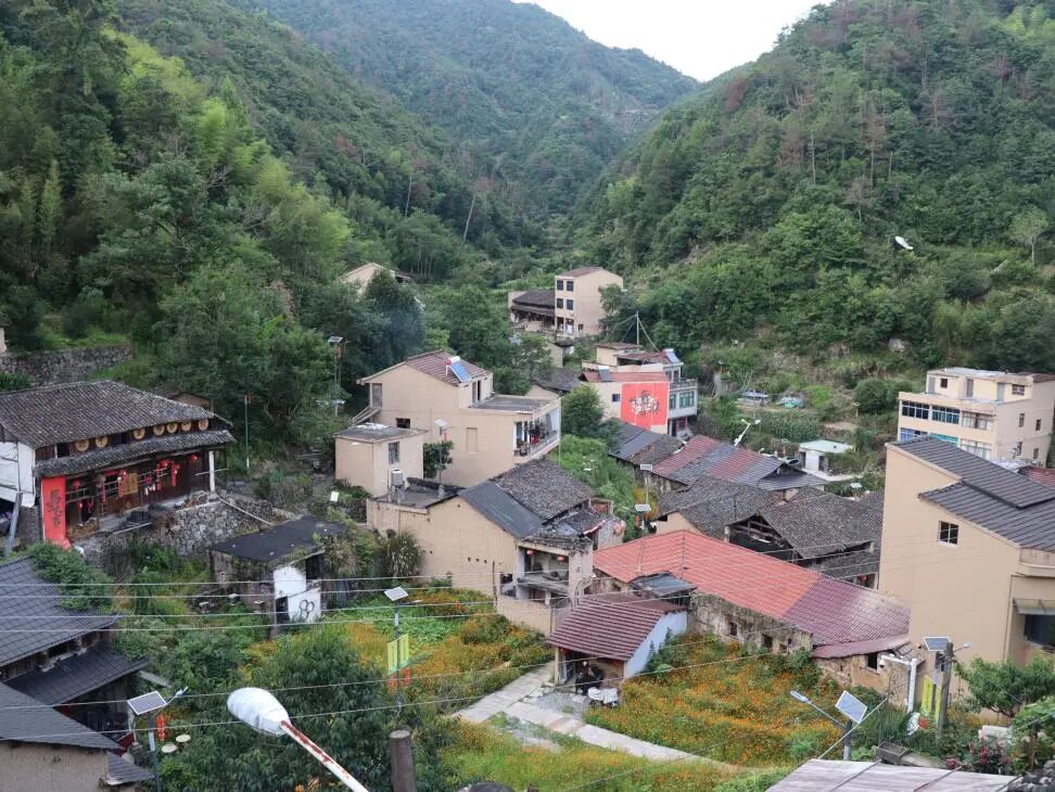 图为黄林坑村整体风貌