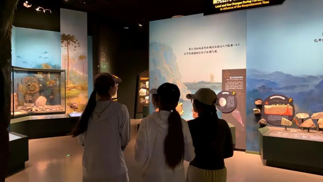 实践团成员参观建德市博物馆